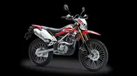 Warna baru Kawasaki KLX 150BF. (KMI)