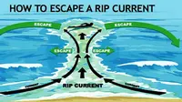 Mengenal Rip Current, Arus Balik di Pantai yang Bisa Mematikan