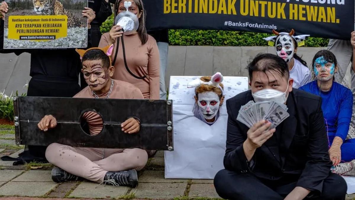 Dana Investasi Peduli Hewan: Act for Farmed Animals Dorong Lembaga Keuangan Prioritaskan Kesejahteraan Ternak