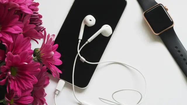 Earphone