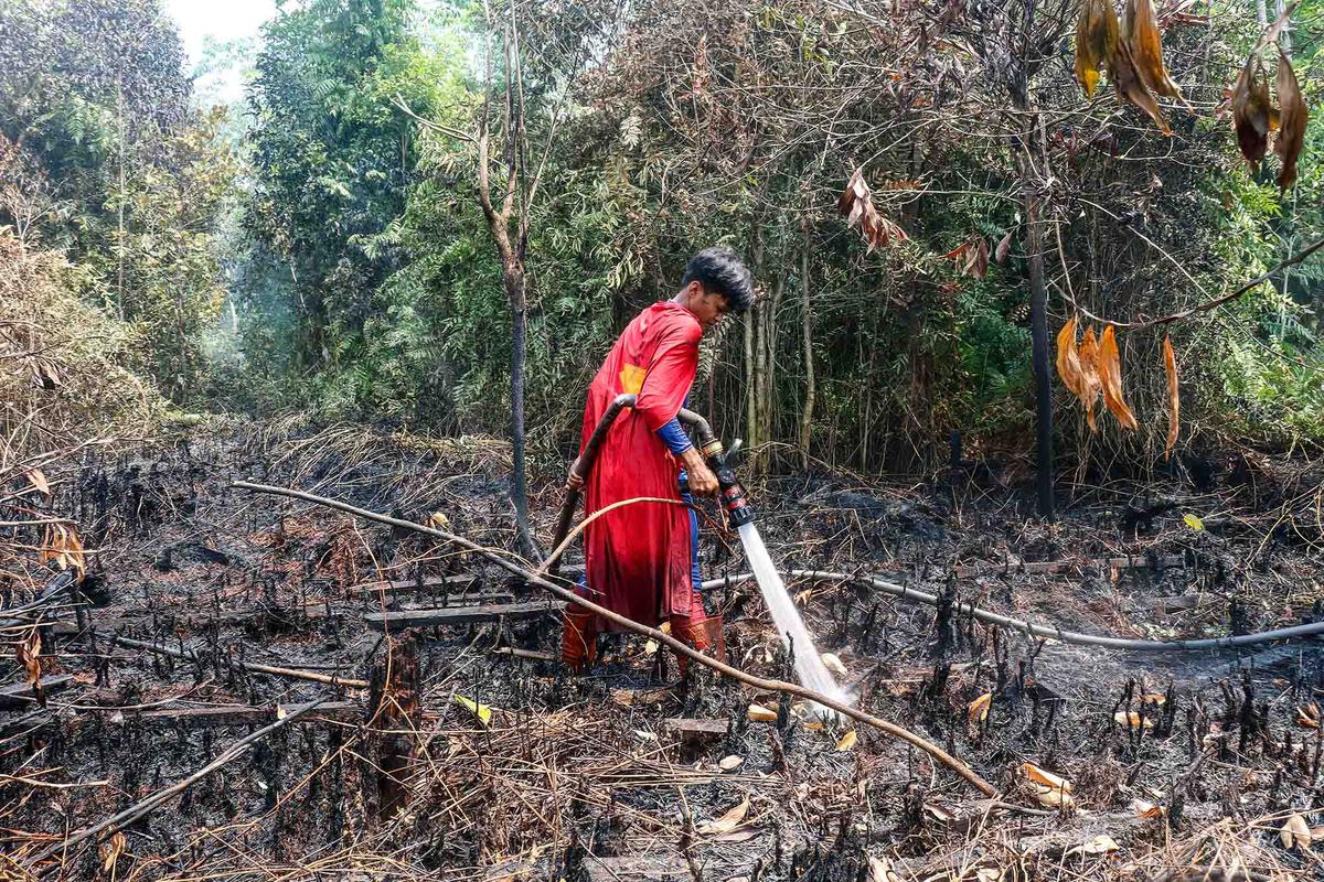 Superman Muncul di Tengah Kebakaran Lahan Palangkaraya