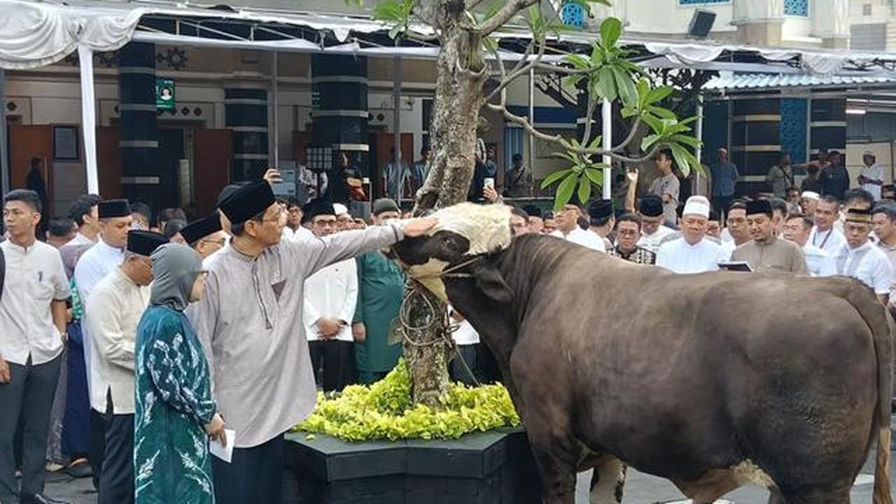 Cerita Warga Pilih Hewan Kurban Lebih Kecil saat Idul Adha 2026