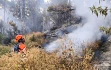 Gunung Lawu Kembali Kebakaran