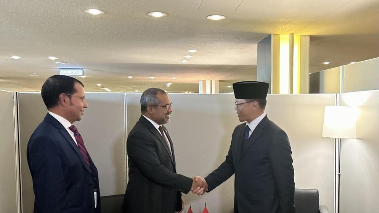 Fakta Unik: Indonesia dan Maladewa Sepakat Hidupkan Kembali Hubungan Bilateral, Fokus Kesehatan & PBB