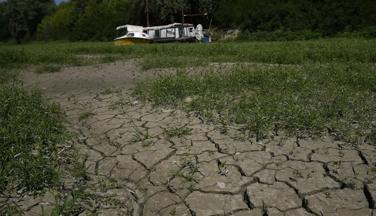 Kapal berlabuh pada pelabuhan wisata di sepanjang Sungai Po, Torricella, Italia, 14 Juli 2022. Konfederasi produsen pertanian Italia, Copagri, memperkirakan kehilangan 30-40 persen dari panen musiman. (AP Photo/Antonio Calanni)