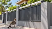 Cara Pasang Pipa Paralon Berputar di Ujung Pagar, Trik Murah Bikin Kucing Gagal Memanjat dan Kabur dari Rumah