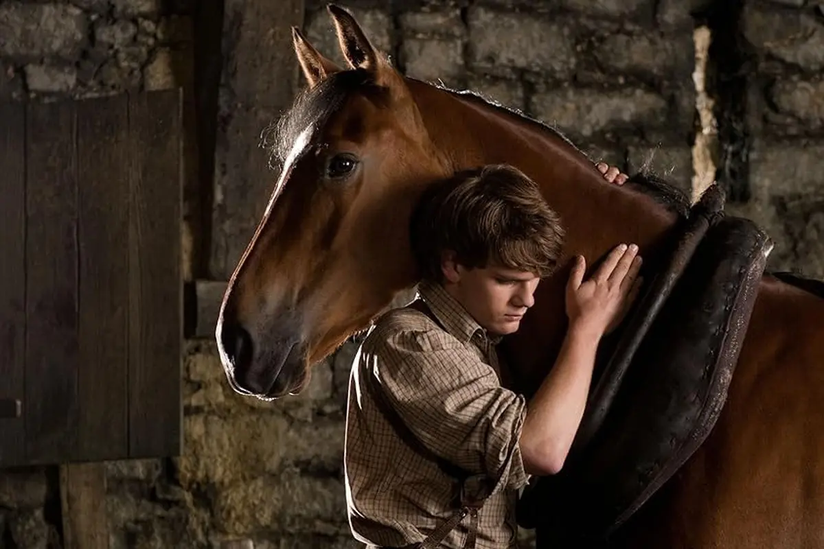 War Horse (2011)