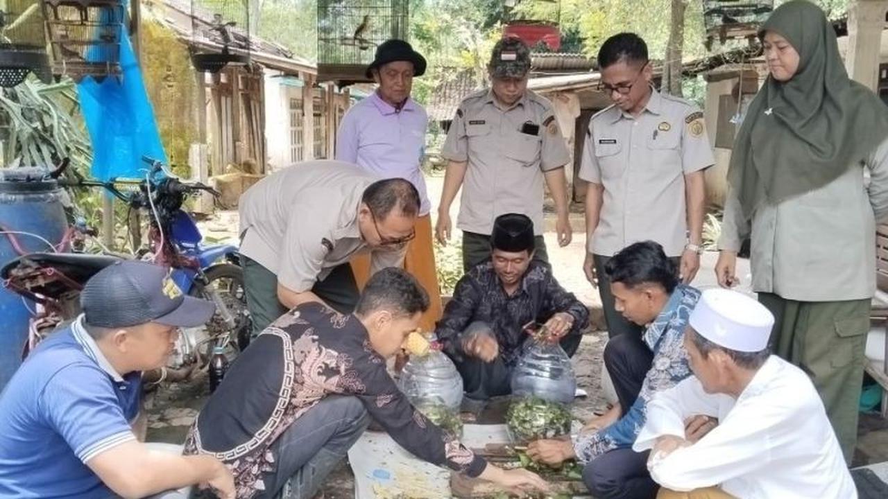 Pemanfaatan Eceng Gondok Petani Probolinggo: Solusi Alami Tingkatkan Kesuburan Lahan