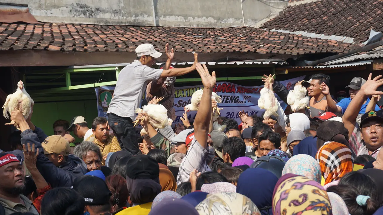 Pembagian Ayam Gratis Sebanyak 1.500 Ekor