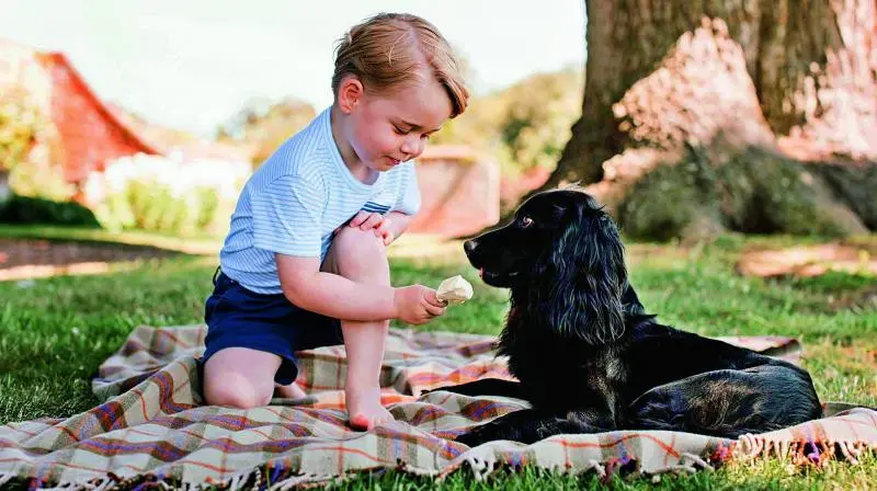 Pangeran George dan anjing keluarga bernama Lupo. (AFP)