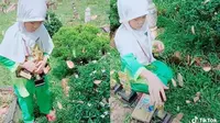 Bocah Bawa Banyak Piala ke Makam Sang Ayah, Kisah di Baliknya Bikin Haru