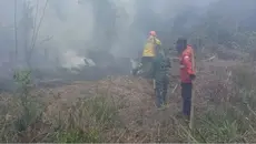 PDIP Ungkap Dua Masalah Utama di Balik Kebakaran Hutan