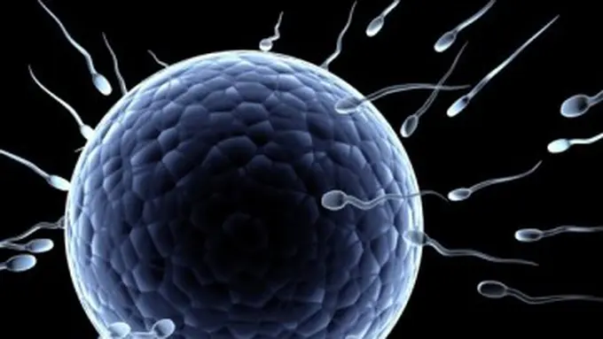 Ilustrasi Sperma (Istimewa)