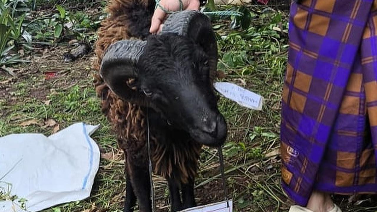 Potret Onadio Leonardo Ikut Kurban Seekor Kambing di Idul Adha, Sebut Peran Habib Jafar di Baliknya