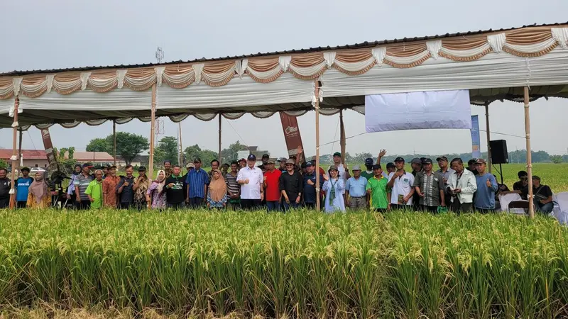 Perum BULOG akan bekerja sama dengan Indonesian Institute of Journalism (IIJ) yang berada di bawah naungan Aliansi Jurnalis Independen (AJI), untuk mengadakan serangkaian pelatihan jurnalisme warga. (Liputan6.com/ ist)