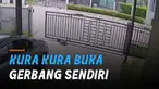Terekam kamera cctv kura-kkura buka gerbang sendiri dan berkeliaran di pemukiman.