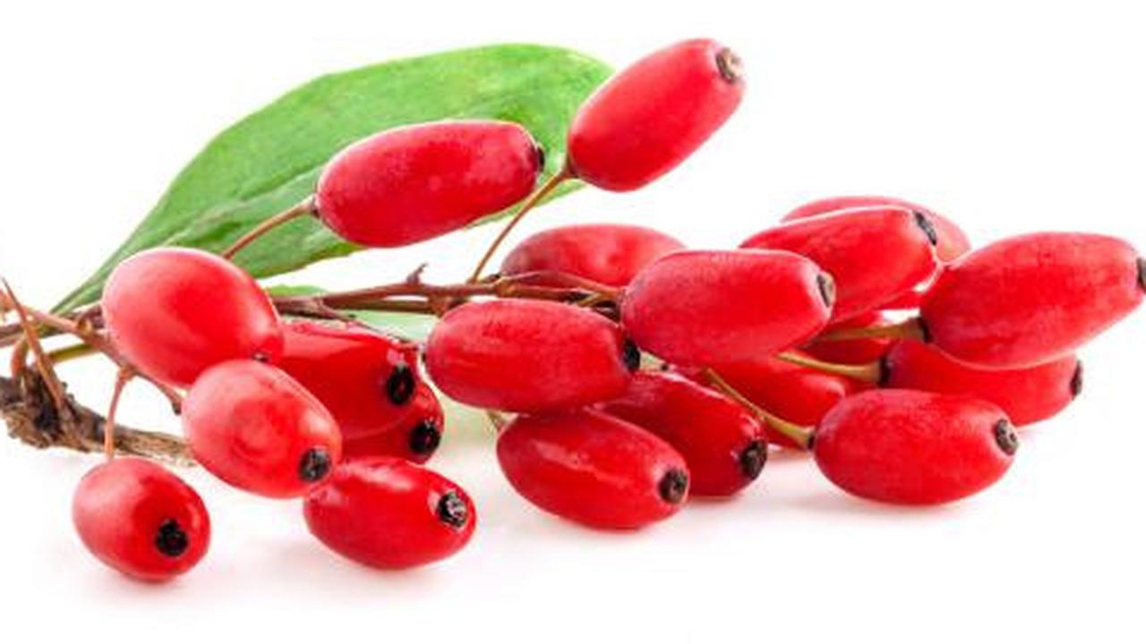 8 Khasiat luar biasa dari goji berry 