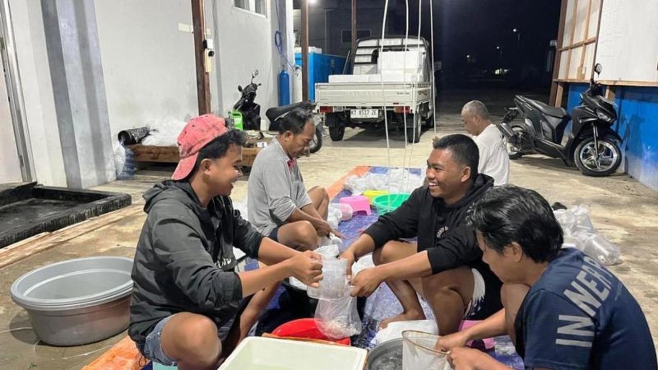 Kolaborasi Budidaya Udang Berau: YKAN dan Pemkab Tingkatkan Produksi Benih Windu dengan Libatkan Siswa SMK