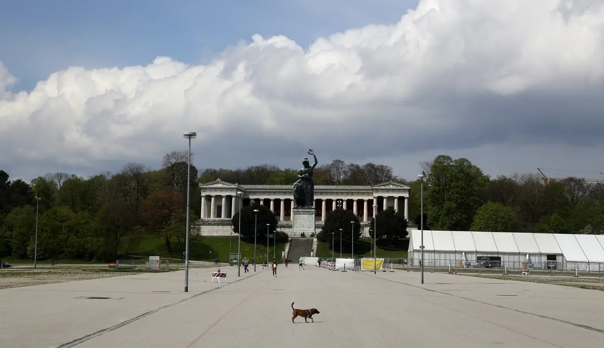 Seekor anjing melintasi area Theresienwiese, tempat festival bir 'Oktoberfest' diadakan, di depan patung Bavaria di Munich, Senin (3/5/2021). Jerman kembali membatalkan festival bir Oktoberfest untuk tahun kedua karena pandemi covid-19. (AP Photo/Matthias Schrader)