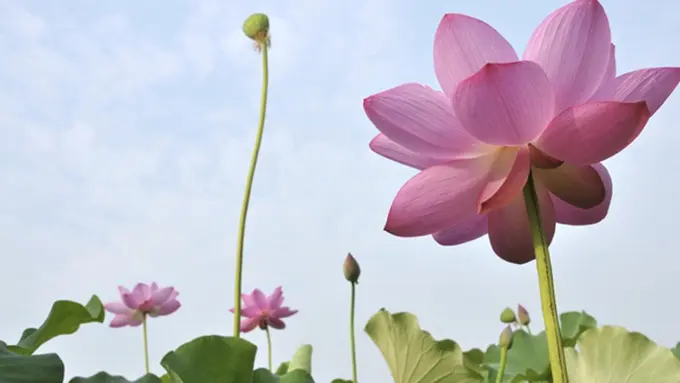 Foto: copyright thinkstockphotos.com