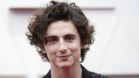 Timothee Chalamet . (Jordan Strauss/Invision/AP)