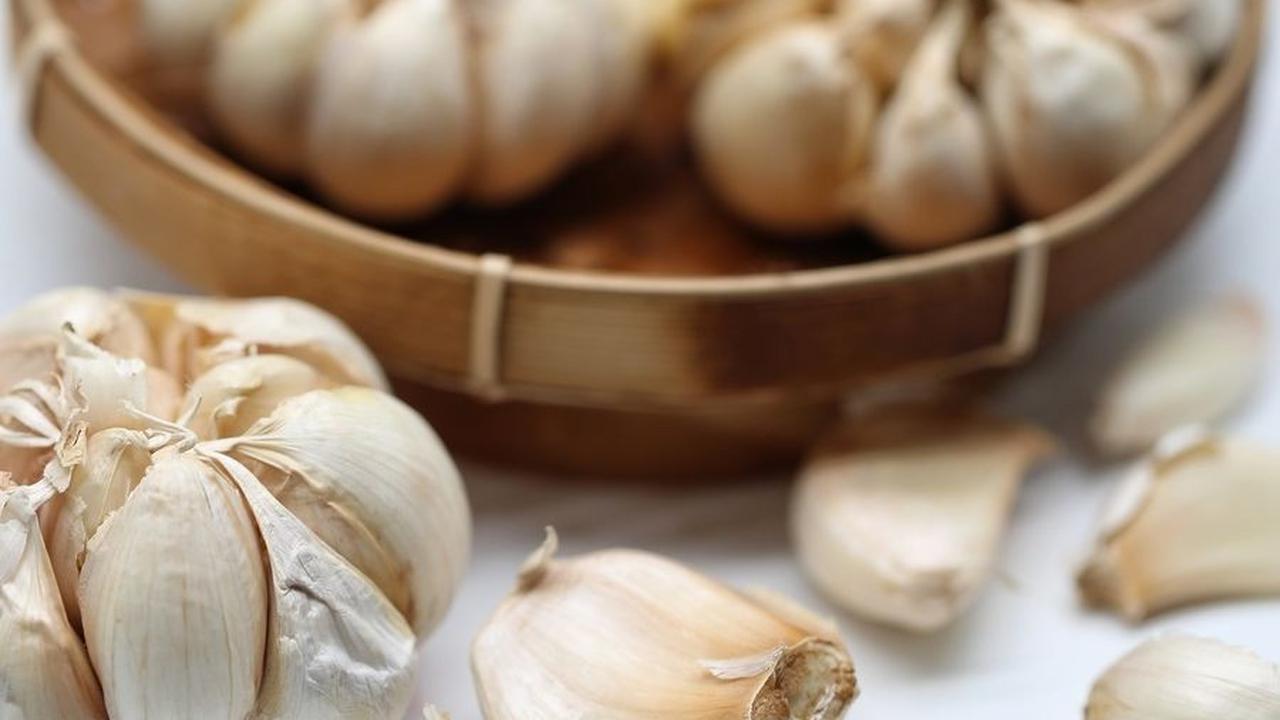 <b>Bawang Putih</b>