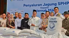 Amran Guyur Ribuan Ton Jagung Subsidi