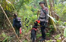 VIDEO: Pemburu Badak Jawa di Taman Nasional Ujung Kulon Diciduk, Punya 'Markas' di Hutan
