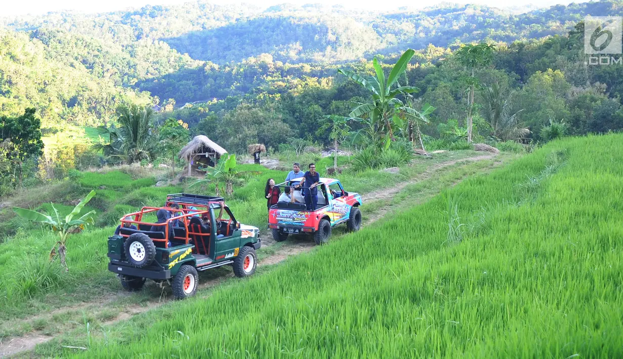 Wisatawan menaiki jip semi-terbuka saat berkeliling di Desa Wisata Kaki Langit Mangunan, Bantul, Yogyakarta (4/5). Wisatawan bisa berkeliling ke Puncak Pinus Becici hingga Hutan Pinus Pengger dengan jip berkapasitas 4 orang. (Merdeka.com/Arie Basuki)