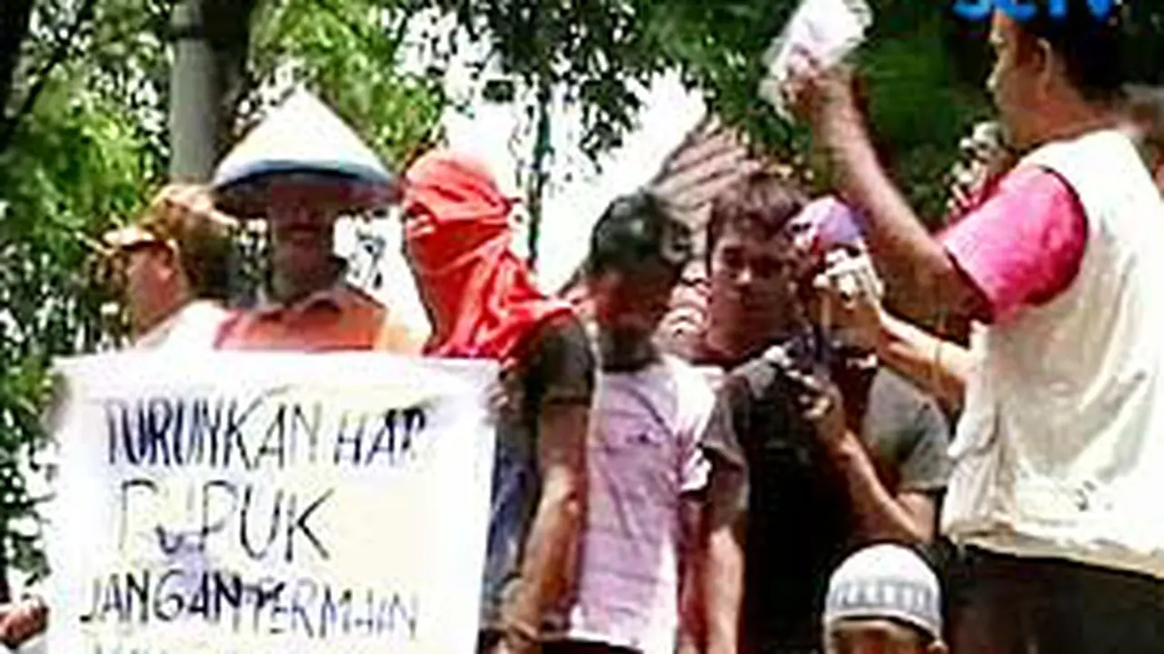 081113cpupuk.jpg
