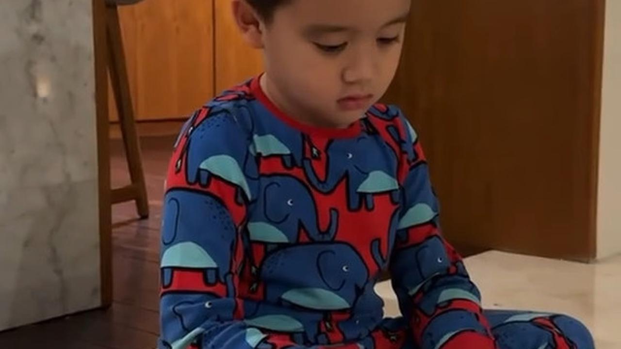 Kumpulan Hewan Peliharaan Athar Anak Citra Kirana dan Rezky Aditya, Ada Katak sampai Iguana