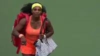 Fans berharap bisa melihat saat Serena Williams memenangi calendar Slam, sehingga permintaan tiket final putri melambung. 