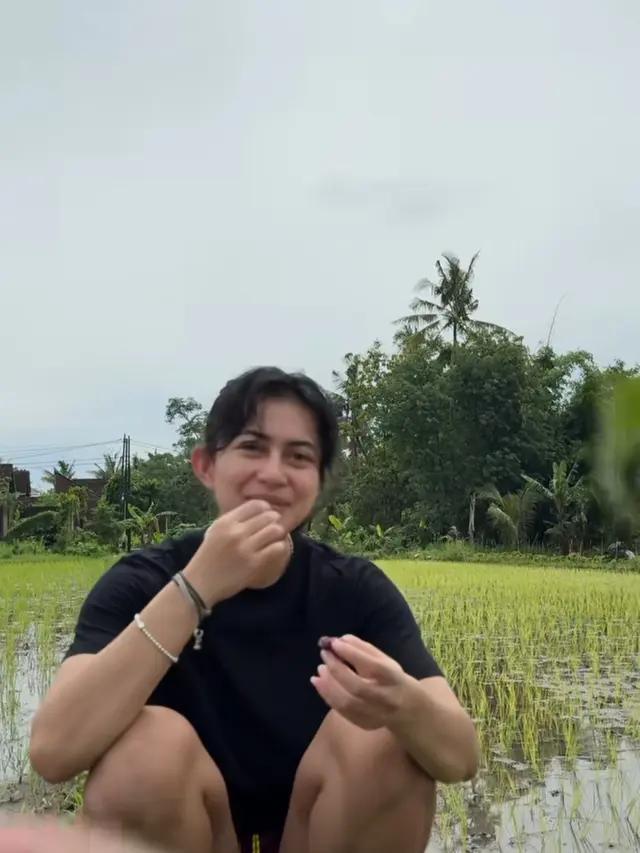 Potret Keseruan Sintya Marisca Tanam Padi di Sawah
