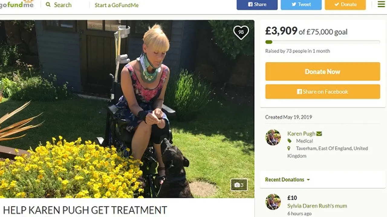 Karen Pugh di laman GoFundMe