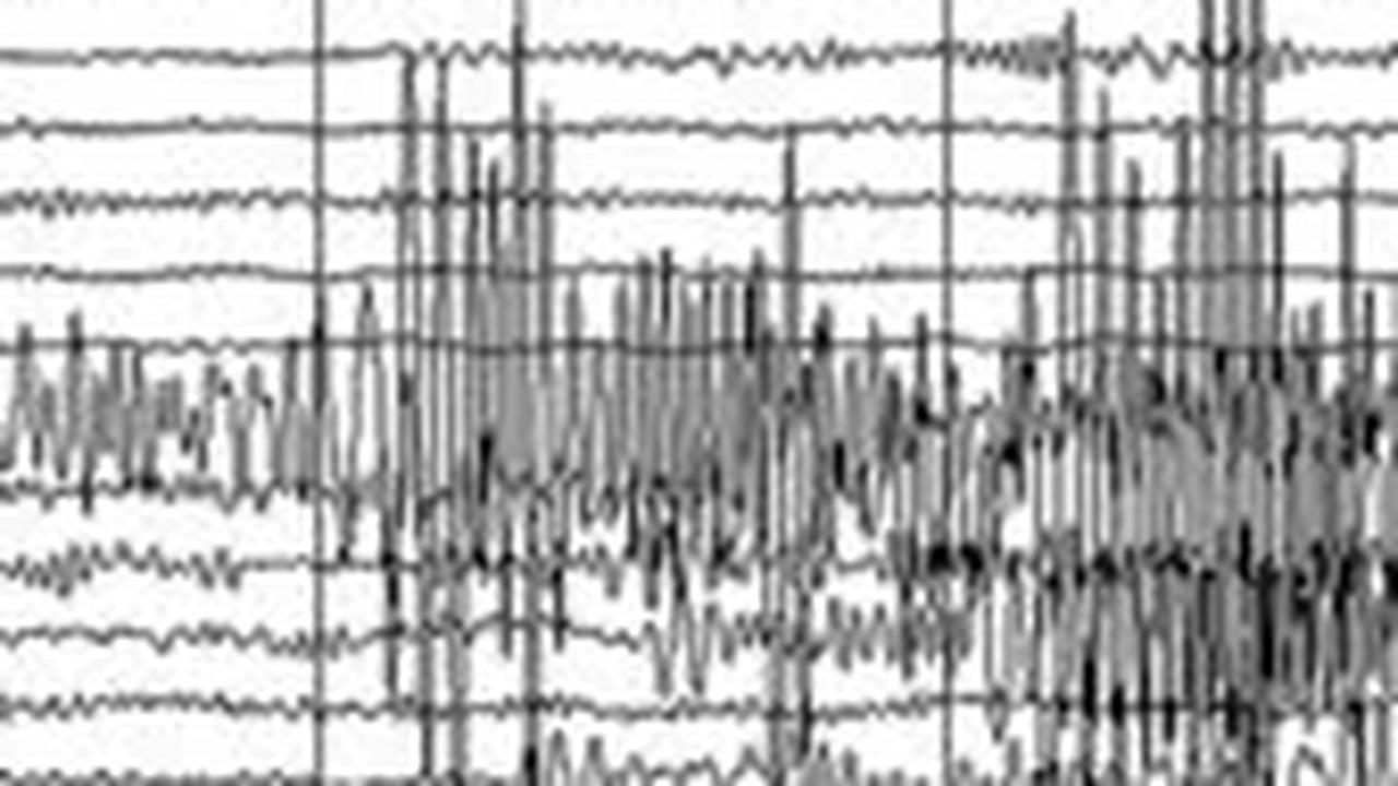 Gempa Magnitudo 6,1 Guncang Pulau Timor NTT, BMKG Nyatakan Tidak Berpotensi Tsunami