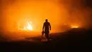 Warga setempat dan petugas pemadam kebakaran berjuang memadamkan kebakaran hutan di Deliblatska Pescara (Deliblato Sands), dekat desa Dubovac, sekitar 70 kilometer di timur laut Beograd, Serbia, Minggu, 9 Agustus 2026. (AFP/  Uros Arsic )