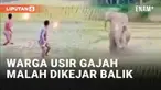 Insiden viral terjadi diduga di Bhaluwaha, perbatasan India-Nepal. Warga ramai-ramai mengusir gajah yang melintas di persawahan. Warga resah karena sawah yang baru tanami rusak, hingga kemudian insiden terjadi.