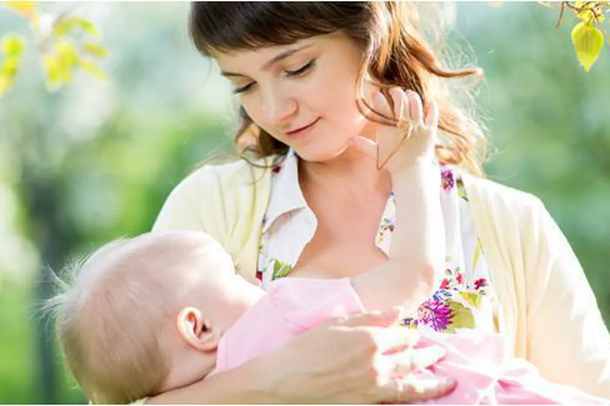 Foto : Copyright shutterstock.com