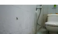 Cara Mengatasi Kutu Kamar Mandi yang Muncul Tiba-Tiba, Ikuti Triknya agar Tidak Datang Lagi