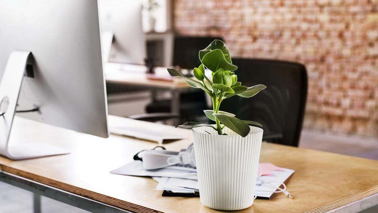 Ciptakan Semangat Kerja Lebih Tinggi dari Sebuah Meja Kerja