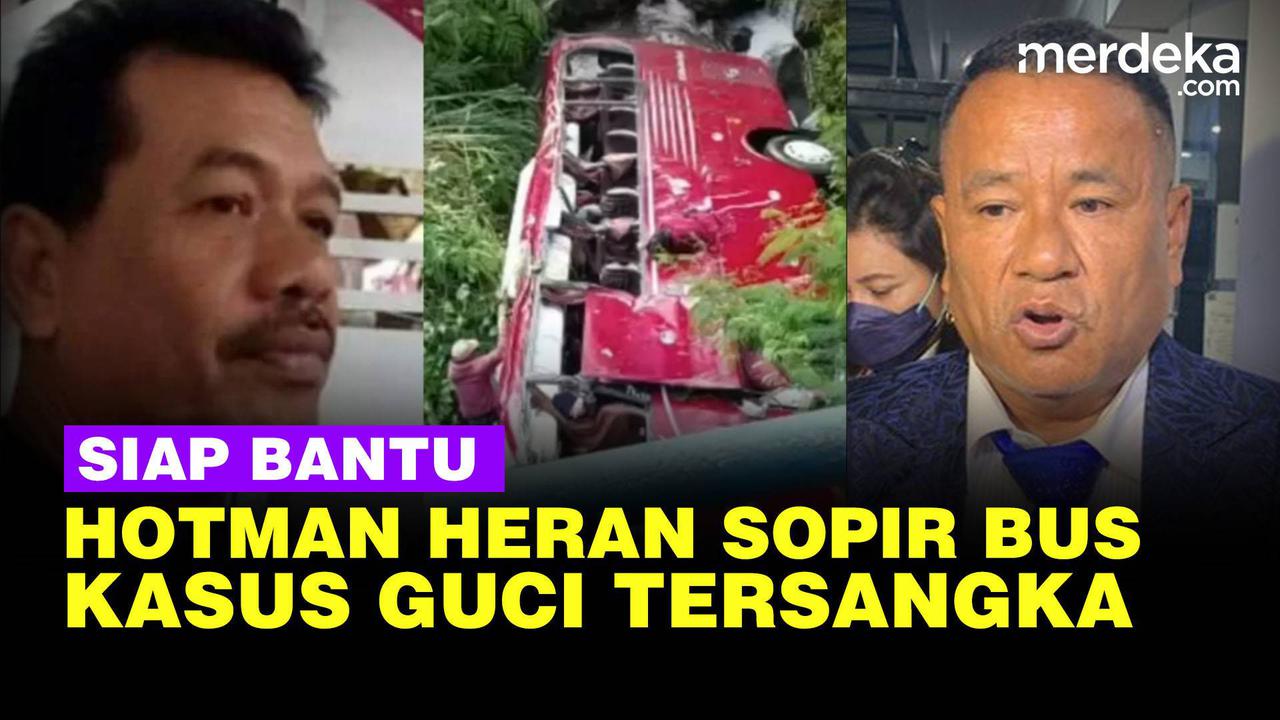 VIDEO: Hotman Paris Siap Bantu Sopir Bus Kasus Kecelakaan di Guci