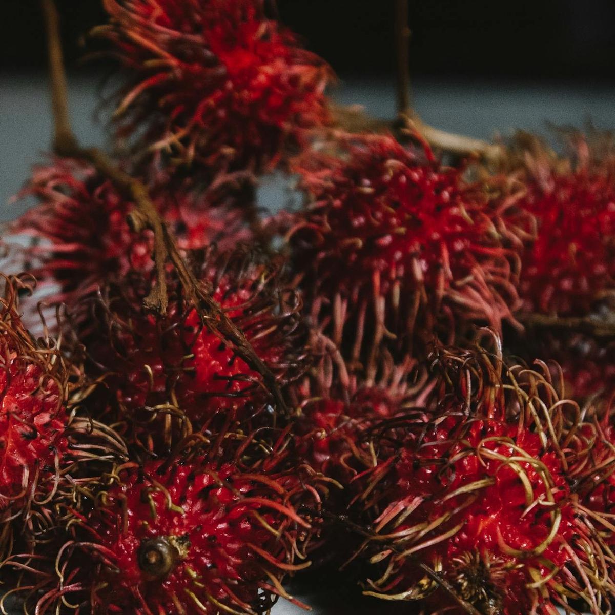 Ilustrasi Rambutan