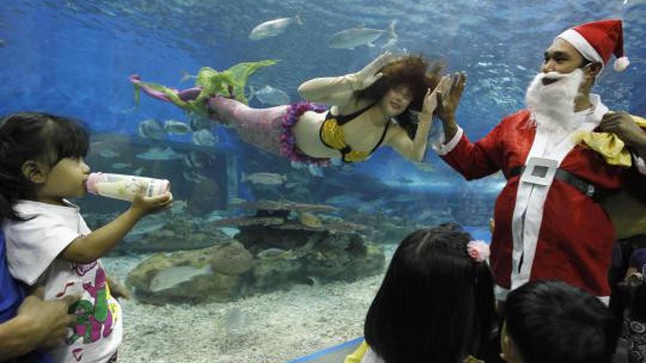 'Putri Duyung' dan 'Santa Claus' hibur anak-anak