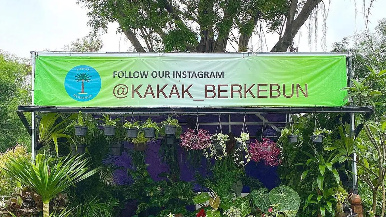 Kakak Berkebun, jasa mempercantik taman dan isi rumah dengan tanaman outdoor maupun indoor