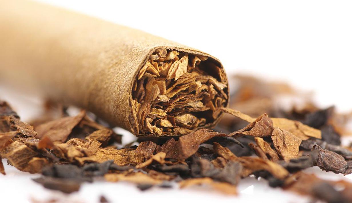 Perokok terkadang mempunyai bau badan yang sangat tidak enak. Sebab ketika asap rokok bercampur dengan kelenjar keringat lain di dalam tubuh maka dapat membuat bau badan. (Istimewa)