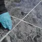 Ilustrasi pemasangan nat pada lantai. (dok. Gappu/Dinny Mutiah)