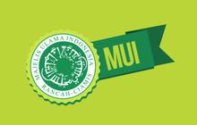 Ini pernyataan MUI soal peristiwa Aceh Singkil