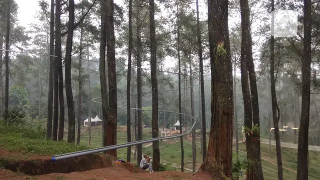 Zipline Orchid Forest