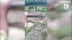 Sebuah video merekam seekor buaya mengejar warga di perkampungan.