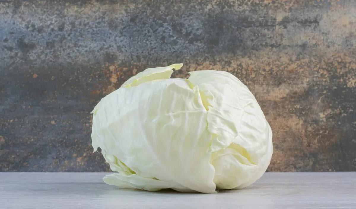 Meskipun kol sebaiknya dikurangi, ternyata sayur ini memiliki manfaat luar biasa. Ibu yang mengalami bengkak pada payudara dapat menggunakan kol dingin untuk kompres.